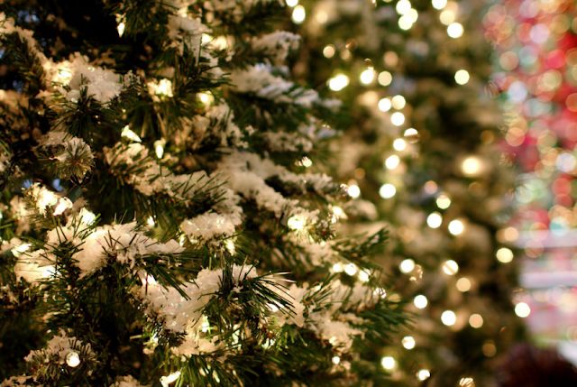 Holiday season