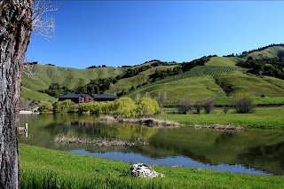 Ranch